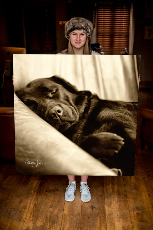JUMBO ART - DILLY CREASES - HUGE 1 Metre Square Canvas